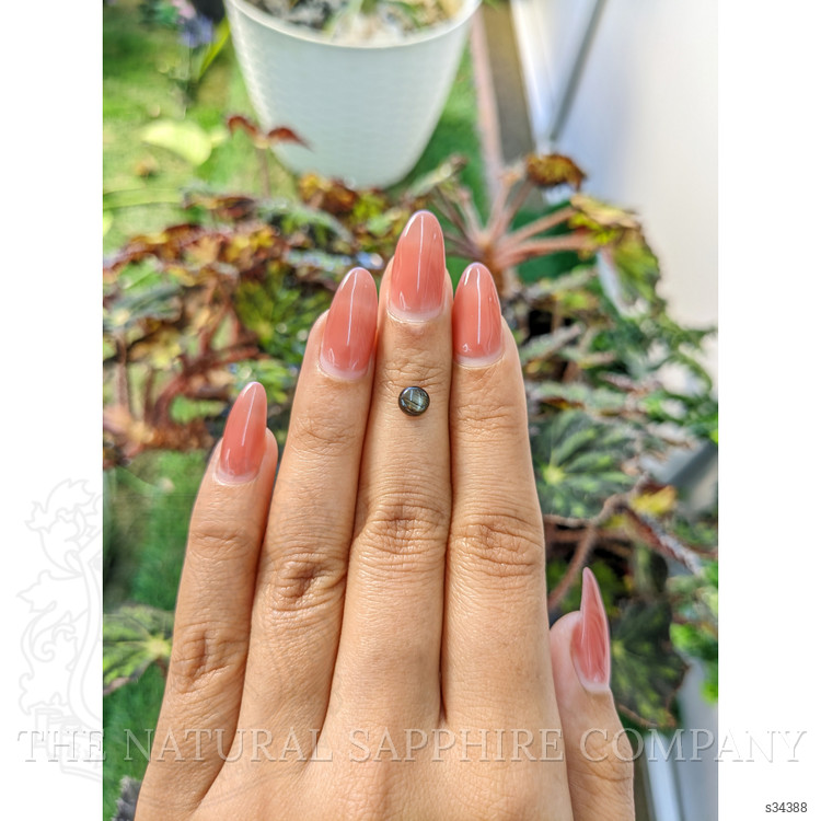 1.08 Ct. Black Star Sapphire from Ceylon (Sri Lanka)