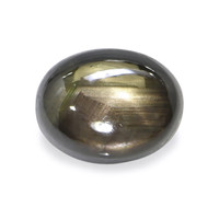 2.54 Ct. Brown Star Sapphire from Ceylon (Sri Lanka) Video