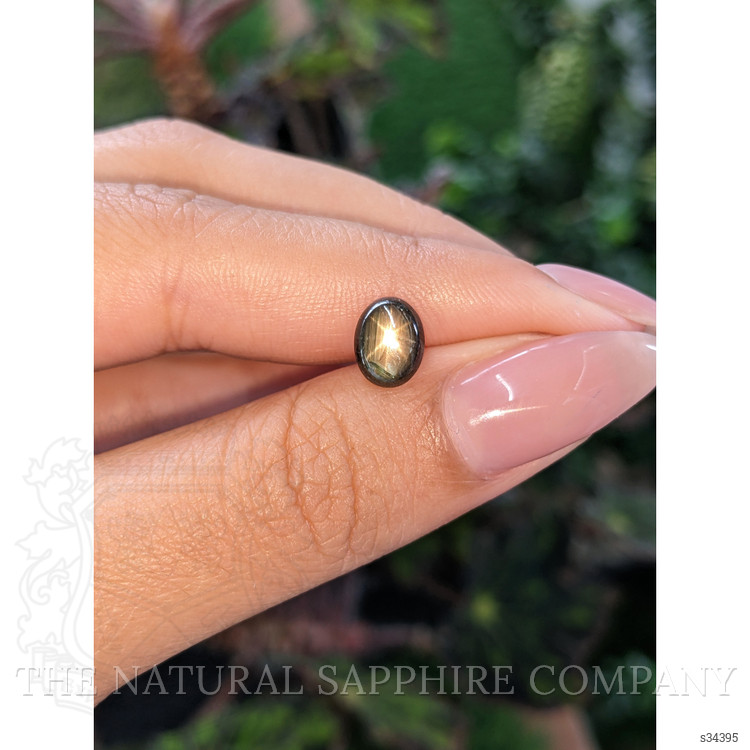2.54 Ct. Brown Star Sapphire from Ceylon (Sri Lanka)