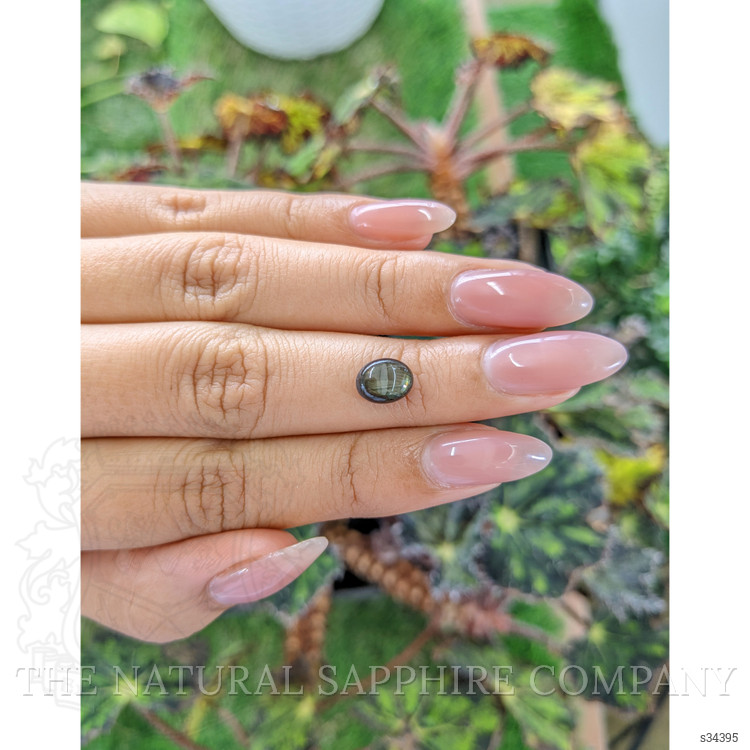 2.54 Ct. Brown Star Sapphire from Ceylon (Sri Lanka)