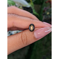2.38 Ct. Brown Star Sapphire from Ceylon (Sri Lanka) Life Style