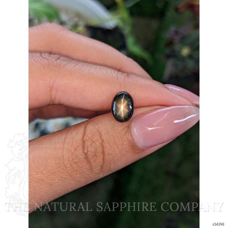 2.38 Ct. Brown Star Sapphire from Ceylon (Sri Lanka)