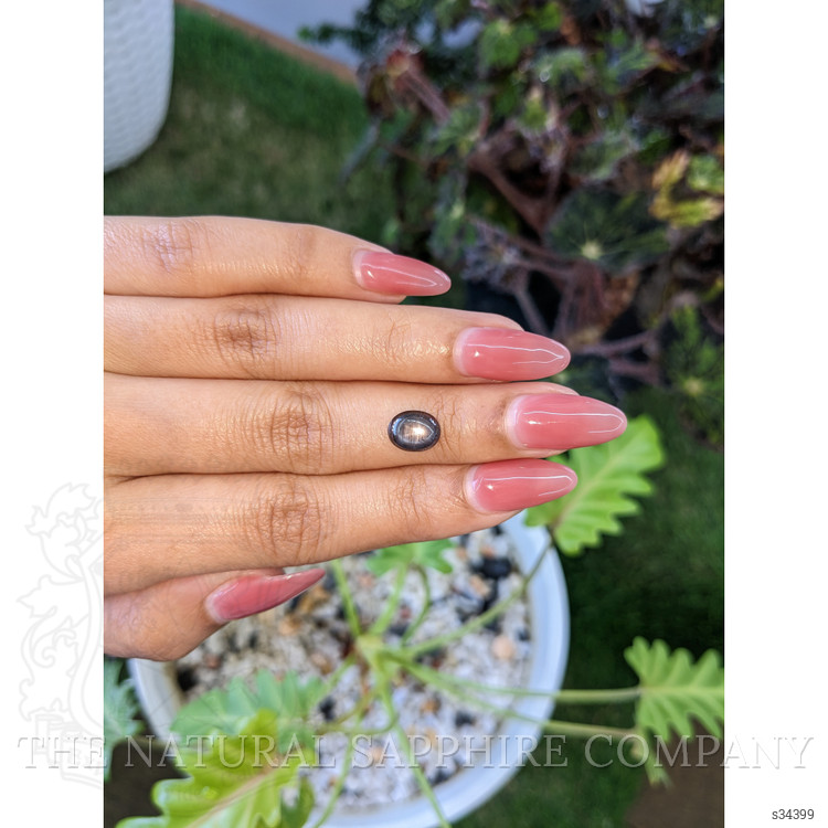 2.28 Ct. Black Star Sapphire from Ceylon (Sri Lanka)