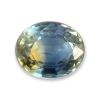 0.51 Ct. Bi Color Sapphire from Thailand Video