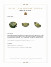0.49 Ct. Yellowish Green Sapphire from Thailand Appraisal