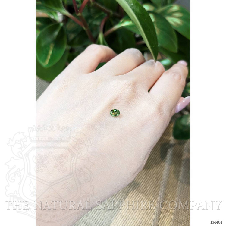 0.49 Ct. Yellowish Green Sapphire from Thailand