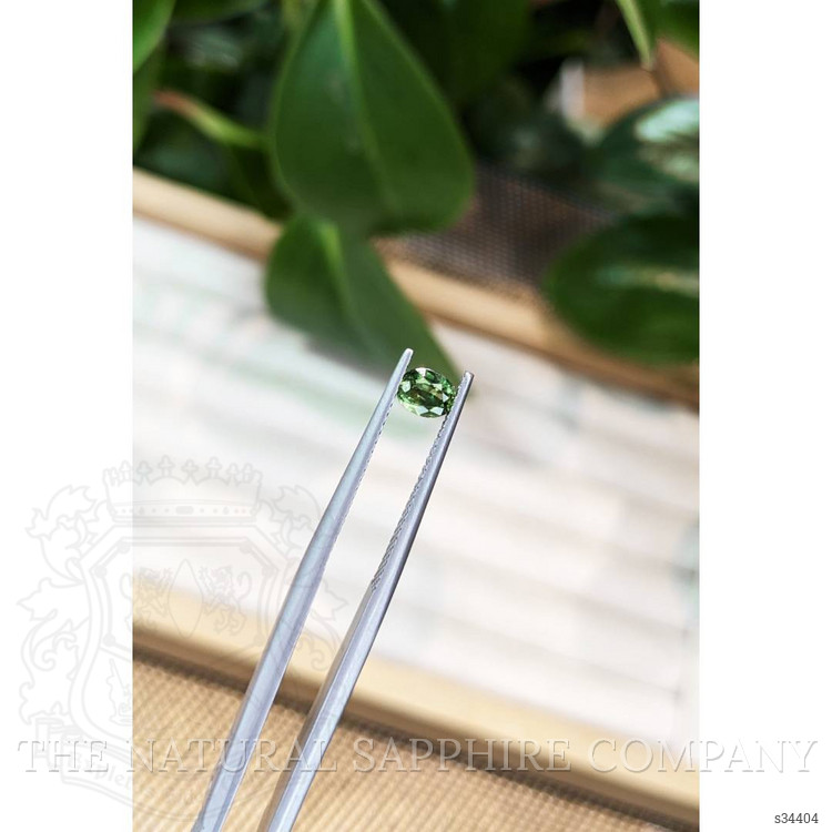 0.49 Ct. Yellowish Green Sapphire from Thailand