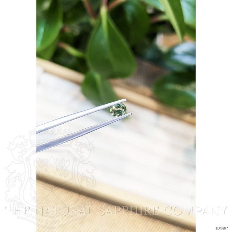 0.47 Ct. Yellowish Green Sapphire from Thailand