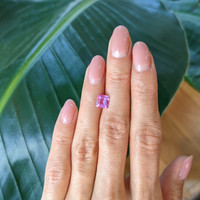 1.64 Ct. Pink Sapphire from Ceylon (Sri Lanka) Life Style