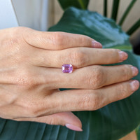 2.02 Ct. Pink Sapphire from Ceylon (Sri Lanka) Life Style