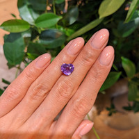3.51 Ct. Purple Sapphire from Ceylon (Sri Lanka) Life Style