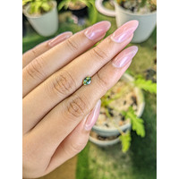 0.58 Ct. Bi Color Sapphire from Madagascar Life Style