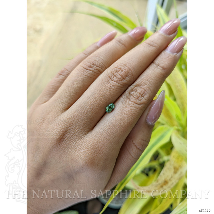 0.61 Ct. Yellowish Green Sapphire from Madagascar