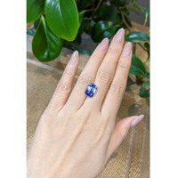7.61 Ct. Blue Sapphire from Ceylon (Sri Lanka) Life Style