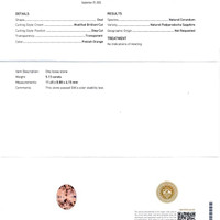 Jewelry Scan Report