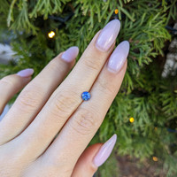 0.64 Ct. Blue Sapphire from Ceylon (Sri Lanka) Life Style