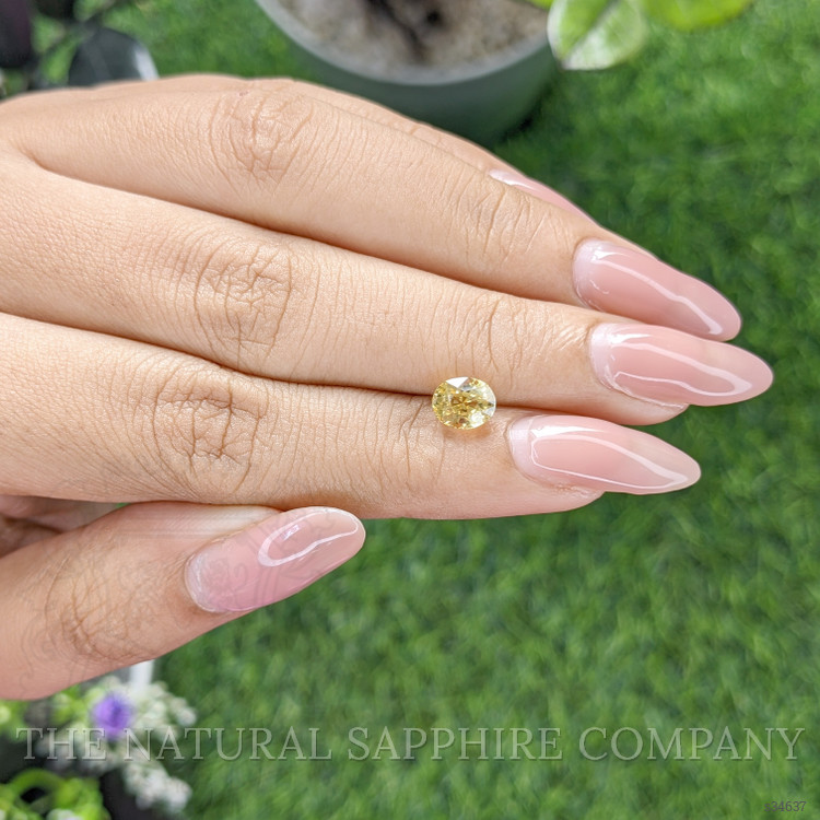 1.54 Ct. Yellow Sapphire from Ceylon (Sri Lanka)