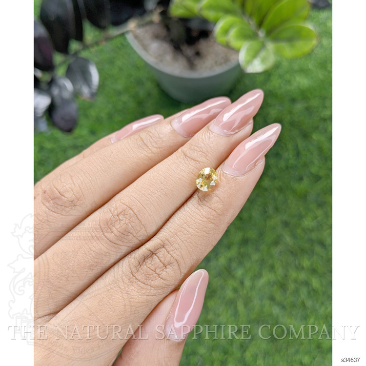 1.54 Ct. Yellow Sapphire from Ceylon (Sri Lanka)