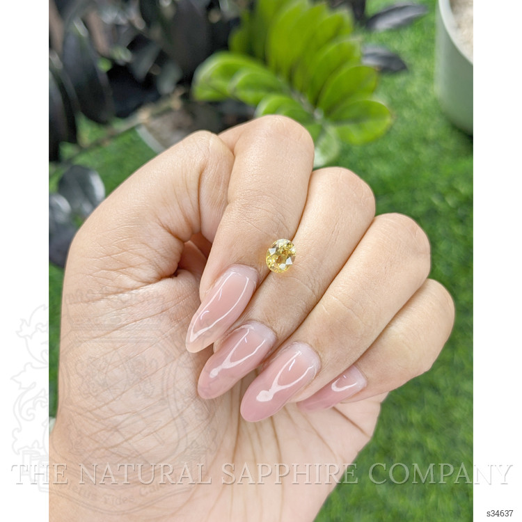 1.54 Ct. Yellow Sapphire from Ceylon (Sri Lanka)