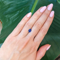 1.66 Ct. Blue Sapphire from Ceylon (Sri Lanka) Life Style