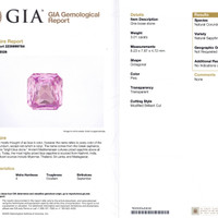 Jewelry Scan Report