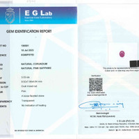 3.03 Ct. Pink Sapphire from Ceylon (Sri Lanka) Scan Report