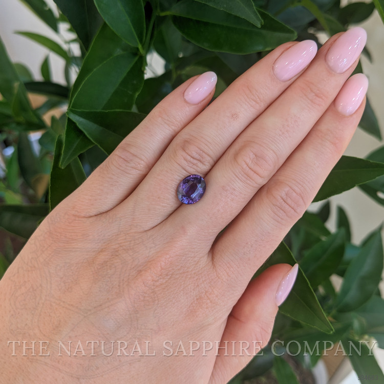 4.05 Ct. Purple Sapphire from Ceylon (Sri Lanka)