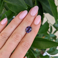 4.05 Ct. Purple Sapphire from Ceylon (Sri Lanka) Life Style