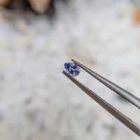 0.26 Ct. Blue Sapphire from Ceylon (Sri Lanka) Life Style