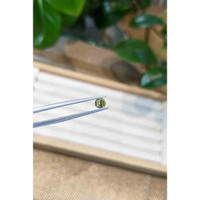 0.62 Ct. Bluish Green Sapphire from Madagascar Life Style