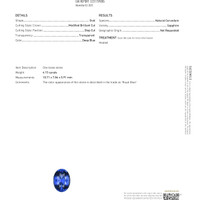 Jewelry Scan Report