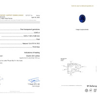 3.00 Ct. Blue Sapphire from Ceylon (Sri Lanka) Scan Report
