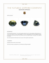 Jewelry Appraisal