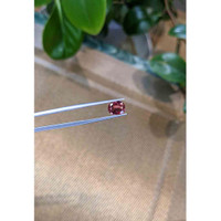 1.57 Ct. Padparadscha Sapphire from Ceylon (Sri Lanka) Life Style