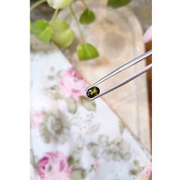 1.25 Ct. Bi Color Sapphire from Thailand Life Style