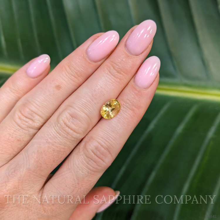 3.02 Ct. Yellow Sapphire from Ceylon (Sri Lanka)