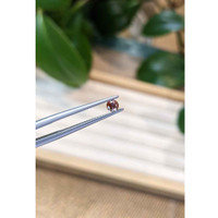 0.21 Ct. Bi Color Sapphire from Montana Life Style