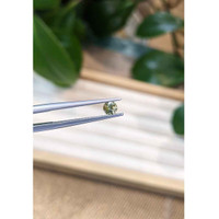 0.29 Ct. Bi Color Sapphire from Montana Life Style