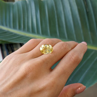 11.94 Ct. Yellow Sapphire from Ceylon (Sri Lanka) Life Style
