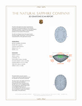Jewelry 3 D Scan Report