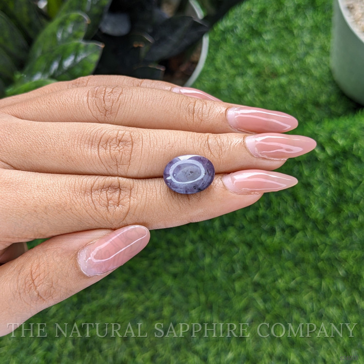 15.88 Ct. Purple Star Sapphire from Ceylon (Sri Lanka)