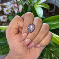 15.88 Ct. Purple Star Sapphire from Ceylon (Sri Lanka) Life Style