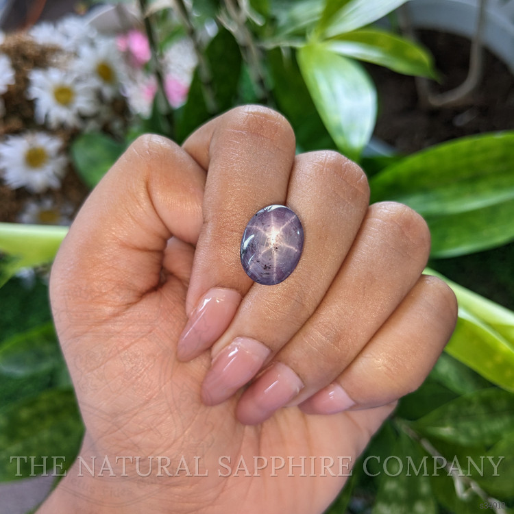 15.88 Ct. Purple Star Sapphire from Ceylon (Sri Lanka)