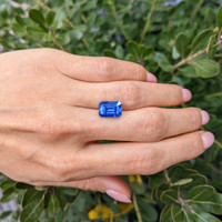 6.23 Ct. Blue Sapphire from Ceylon (Sri Lanka) Life Style