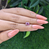 1.20 Ct. Pink Sapphire from Tanzania Life Style
