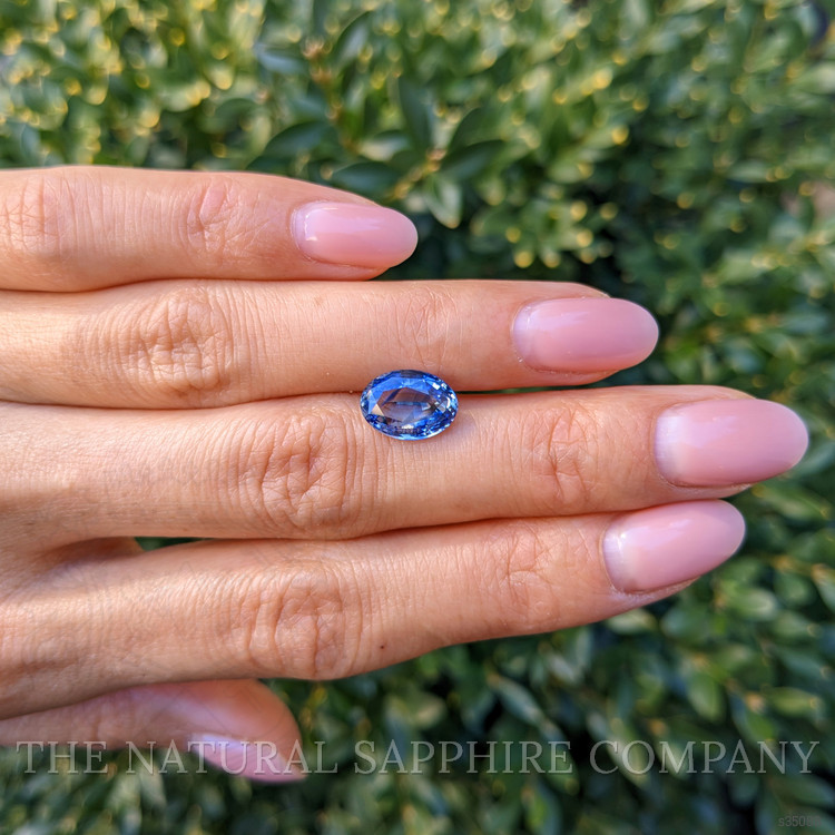 3.35 Ct. Blue Sapphire from Ceylon (Sri Lanka)