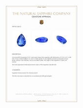 Jewelry Appraisal
