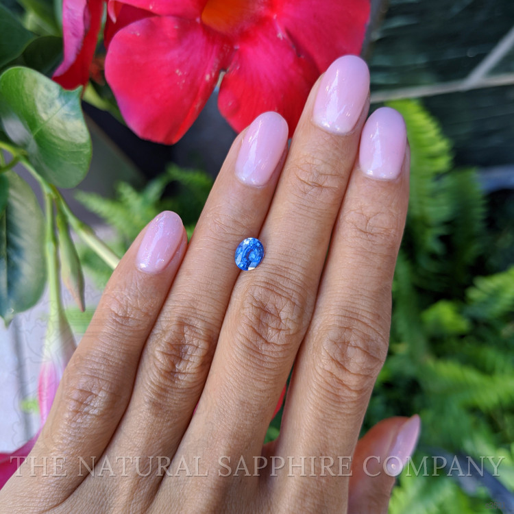 1.01 Ct. Blue Sapphire from Ceylon (Sri Lanka)