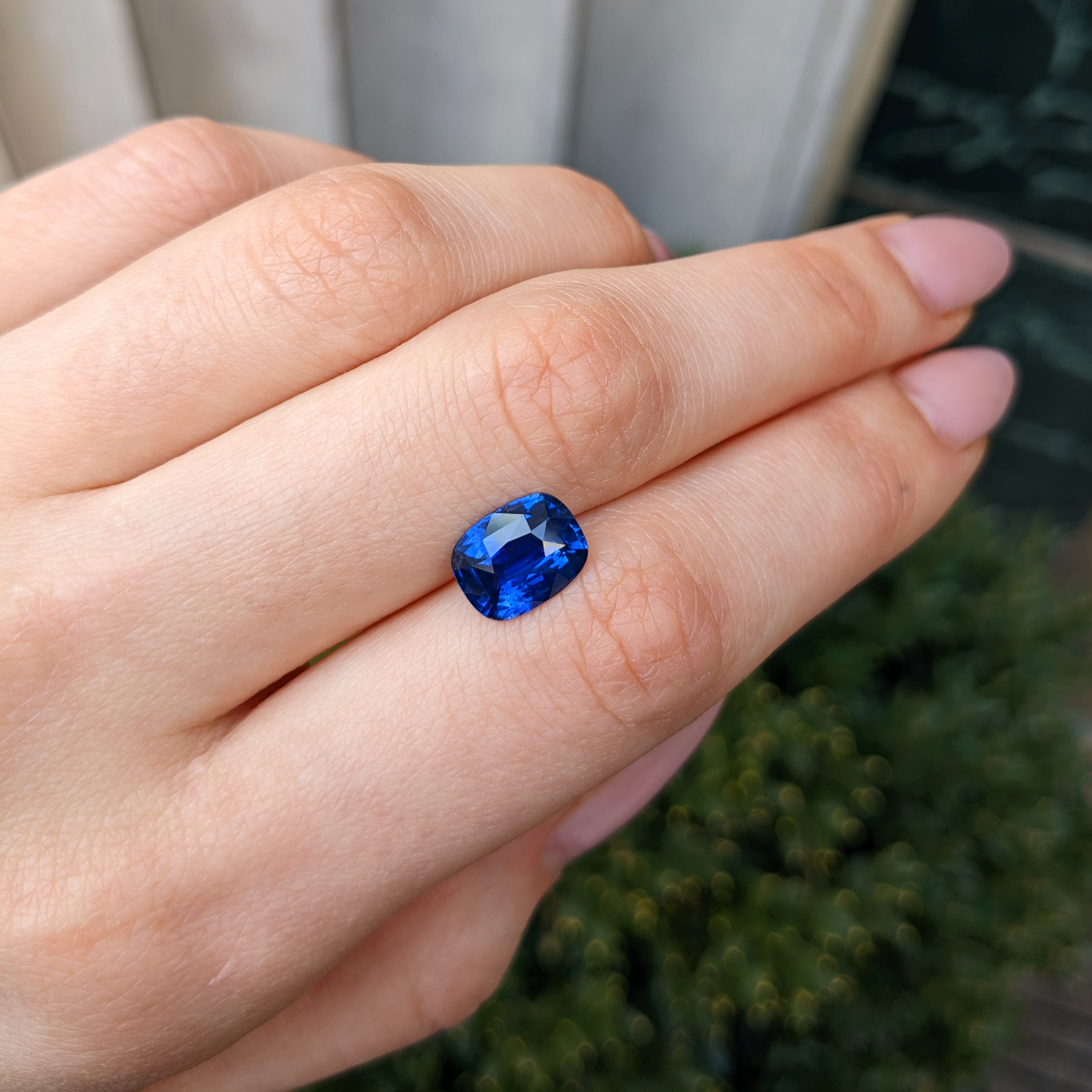 Loose Blue Sapphire - Cushion 3.40 Ct. - #S35241 | The Natural