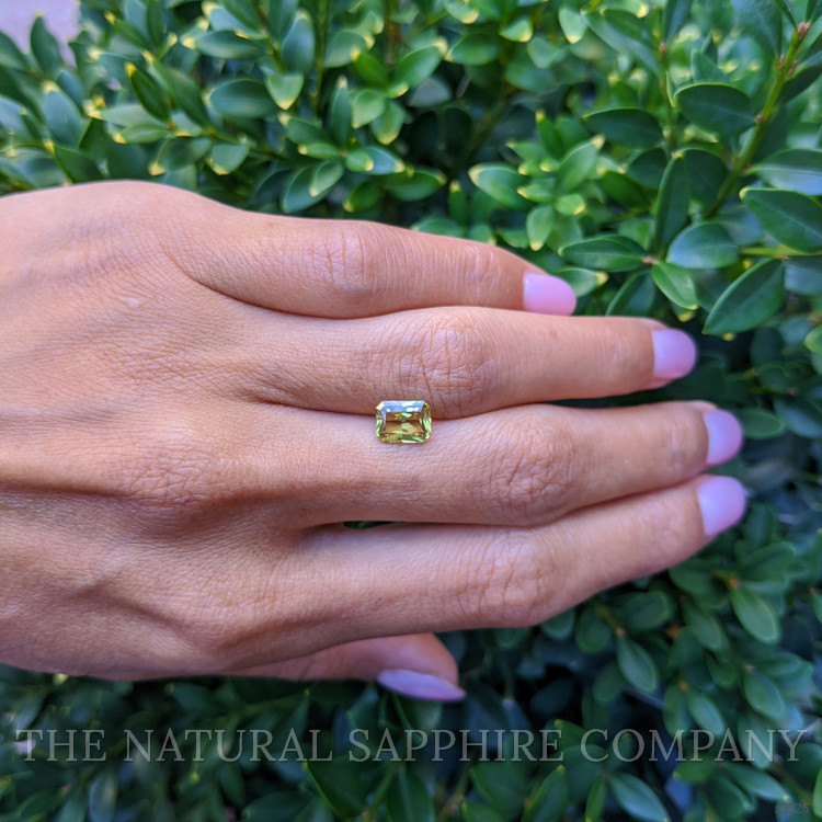 1.62 Ct. Greenish Yellow Sapphire from Ceylon (Sri Lanka)